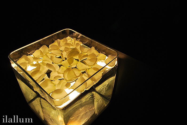 cubo-transparante-lleno-agua-petalos cubo transparente con agua lleno de pétalos iluminado