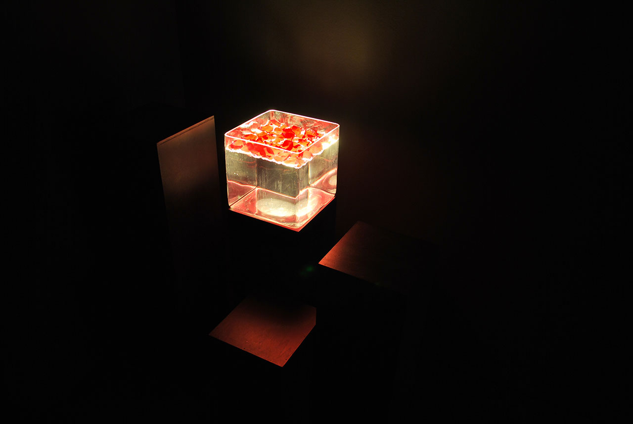 exposición-iluminación-cubo-agua-pétalos exposición iluminación cubo agua y pétalos