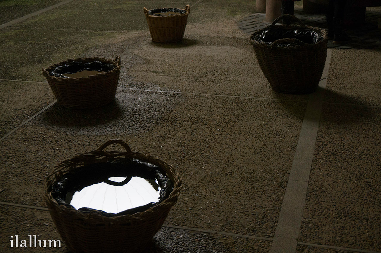 reflejo-de-luz-cesto-mimbre reflejo-de-luz-cesto-mimbre